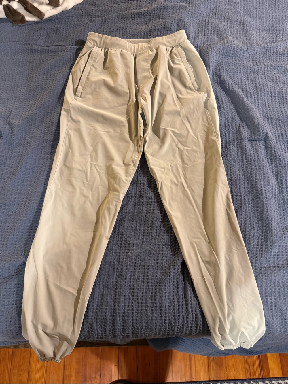 Lululemon Surge Jogger Pants in Light Beige 29” inseam